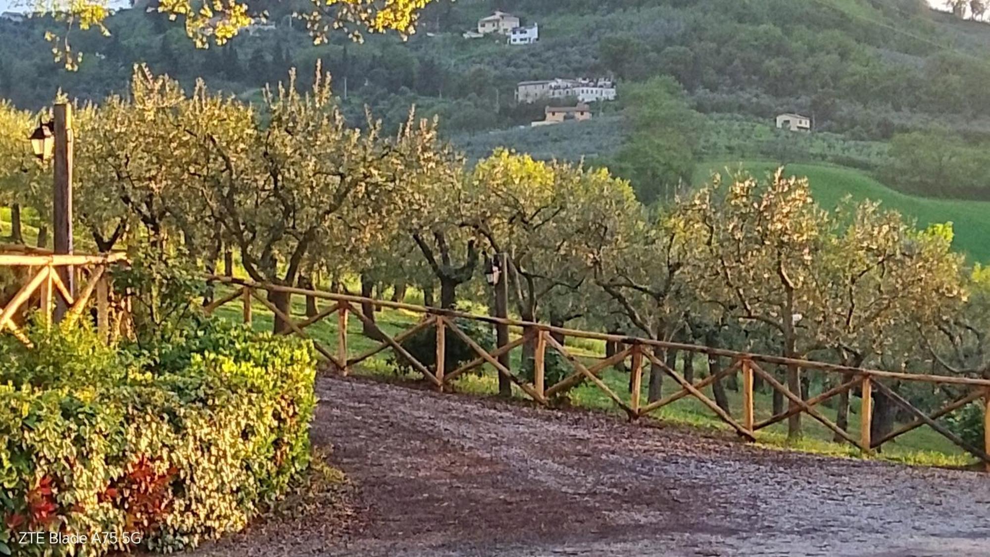Tenuta Colverano Монтефалько Экстерьер фото