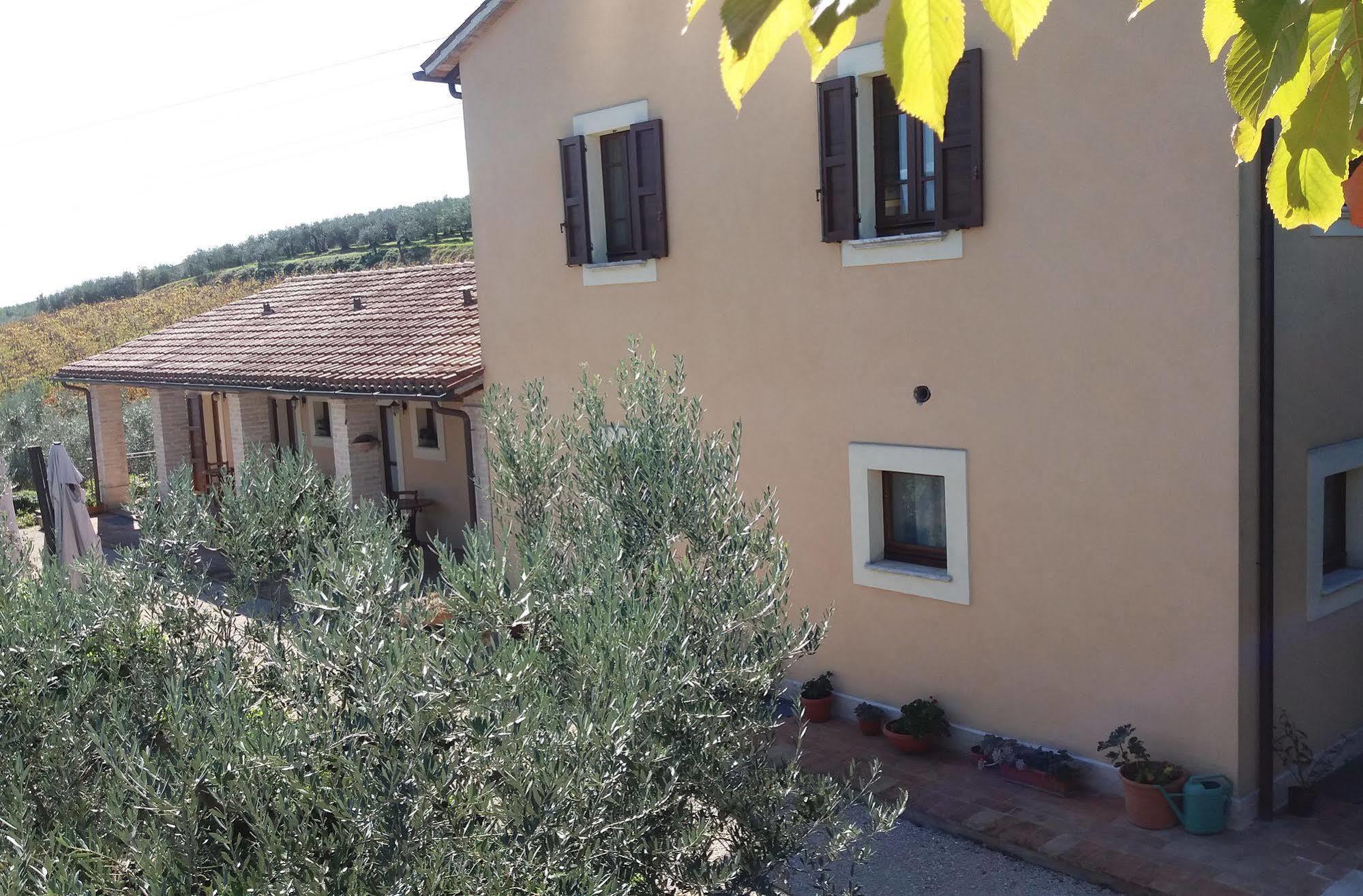 Tenuta Colverano Монтефалько Экстерьер фото